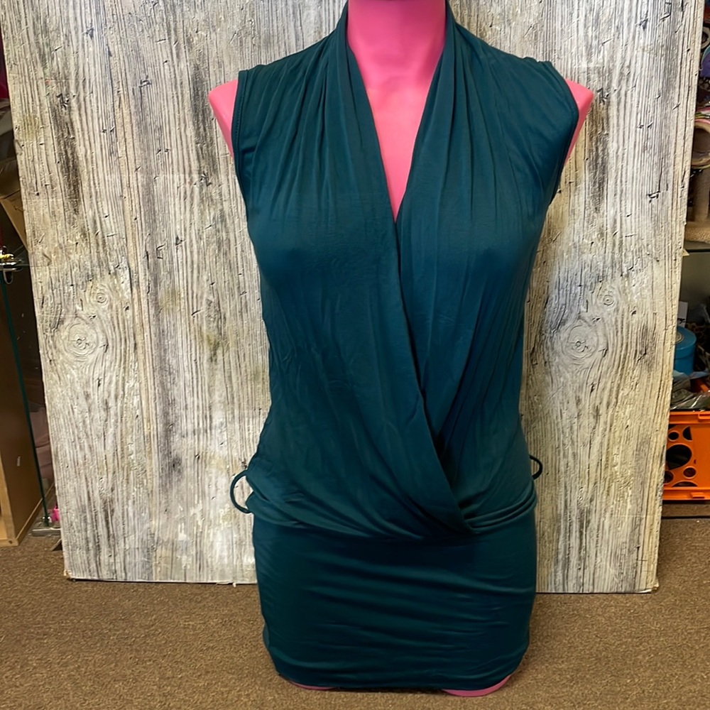 Nwt Pauln KC dress size am